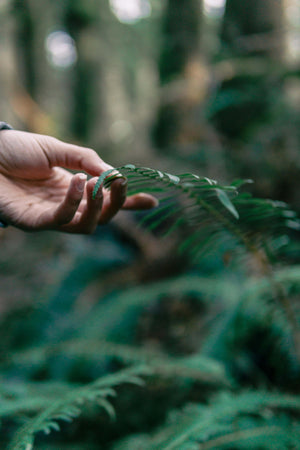 Seraphim Healing Advanced